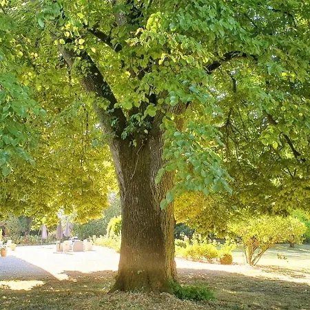Chateau La Grave Bechade