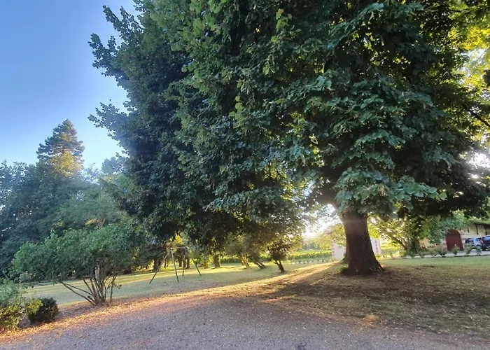 Chateau La Grave Bechade *