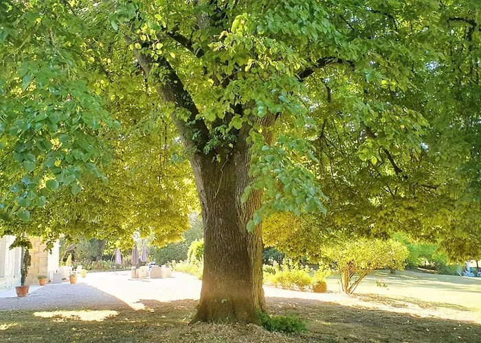 Chateau La Grave Bechade